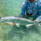 summer-tarpon-fishing.jpeg