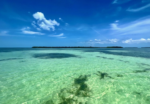Clear tropical water in the Florida Keys backcountry