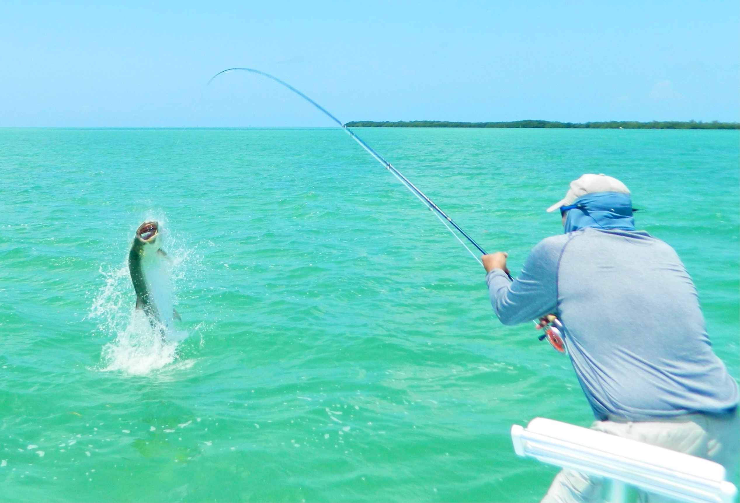 Tarpon fishing season best time of year