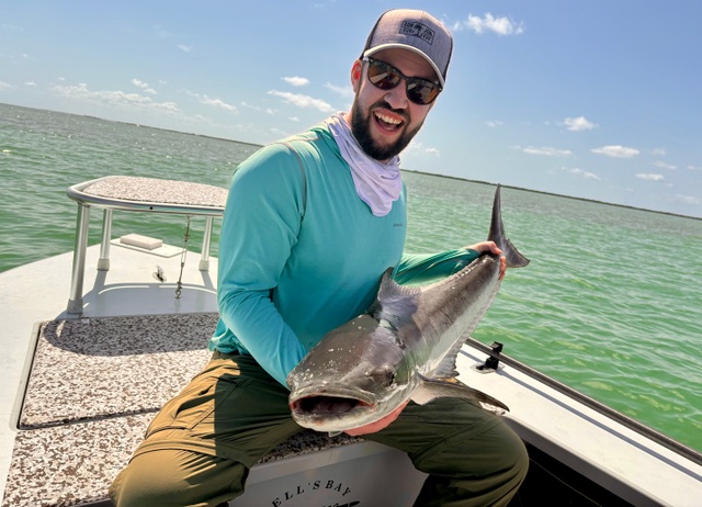Cobia caught flats fishing the Florida Keys and Key West