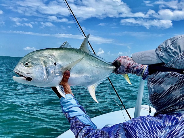 A big jack caught fly fishing the Florida Keys and Key West