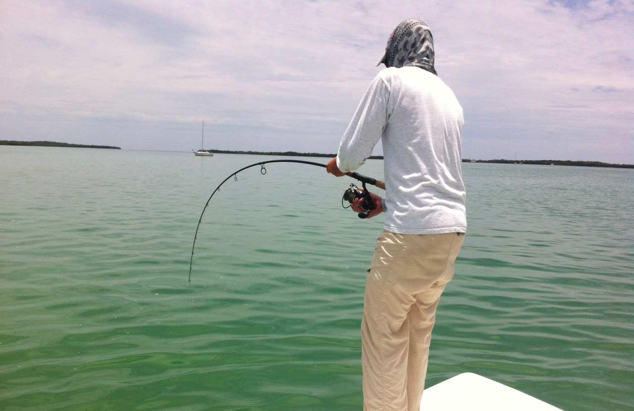 The fishing guide light-tackle fishing for tarpon