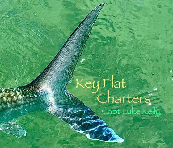 Best Local Fishing Charter